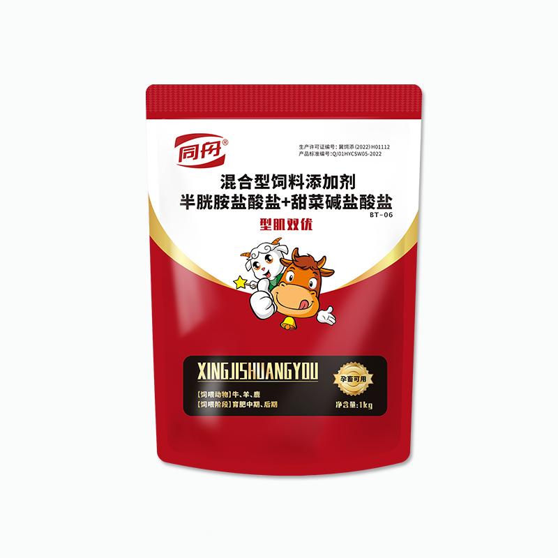 http://www.hbjzjn.com/uploadfile/202401/9422c312fb19461.png